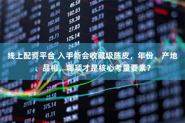 线上配资平台 入手新会收藏级陈皮，年份、产地、品相，哪项才是核心考量要素？
